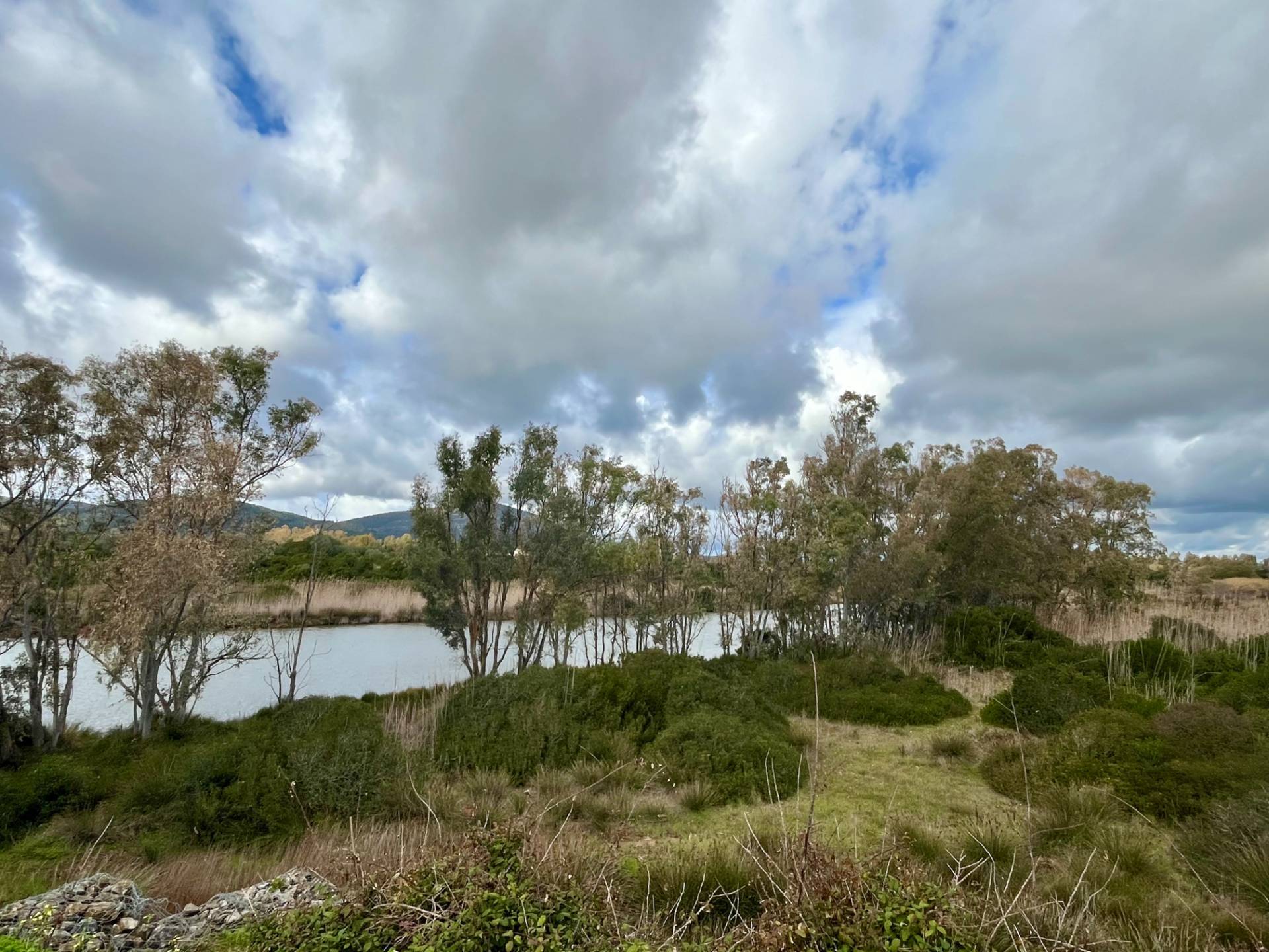 Terreno Agricolo a Alghero