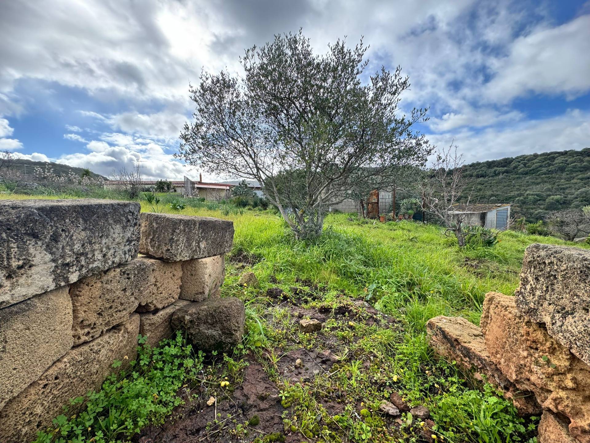 Terreno Agricolo a Alghero